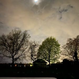 Meet your Posher, Zehra gül